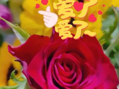 -上海市第一人民医院(松江南部)