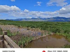 -野鸭湖国家湿地公园