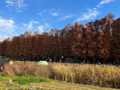 -青山湖景区