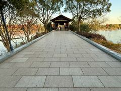 -长广溪湿地公园