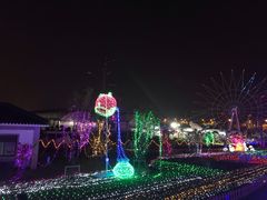 -菊园百果园