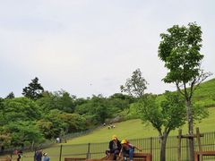 -奈良公园