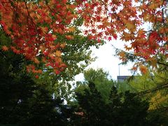 -北海道厅旧本厅舍(旧本庁舎)