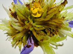 -浙里本味·宴四季江南(花家山庄店)