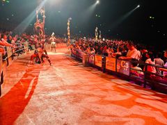 -广州长隆国际大马戏