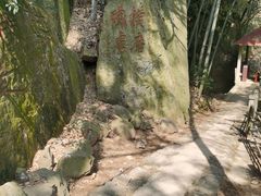 -莫干山风景区