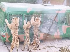 -深圳野生动物园