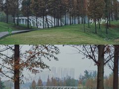 -眉山湿地公园(东坡区)