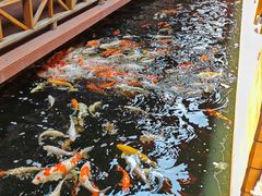 -侠成水上农庄(工业大道店)