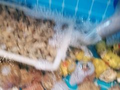 -锅老头铁锅炖•大锅蒸汽海鲜(韩乐坊店)