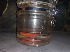 -秃鹫湾·推理大师沉浸式实景演绎推理剧场