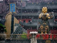 -上海东林寺(金山区)
