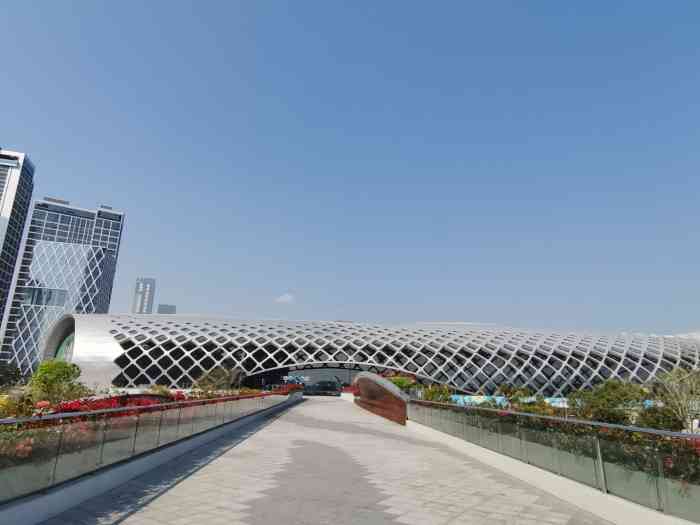 华润深圳湾体育中心"春茧" 体育馆-"真的很出乎我意料,mariah care.