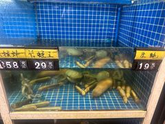 -金龙·打边炉(南京西路店)