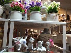 便宜小店-便宜小店