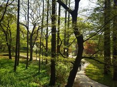 -八大关景区