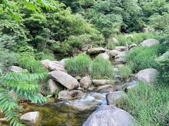 -洛阳白云山景区