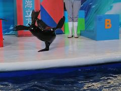 -成都浩海立方海洋公园