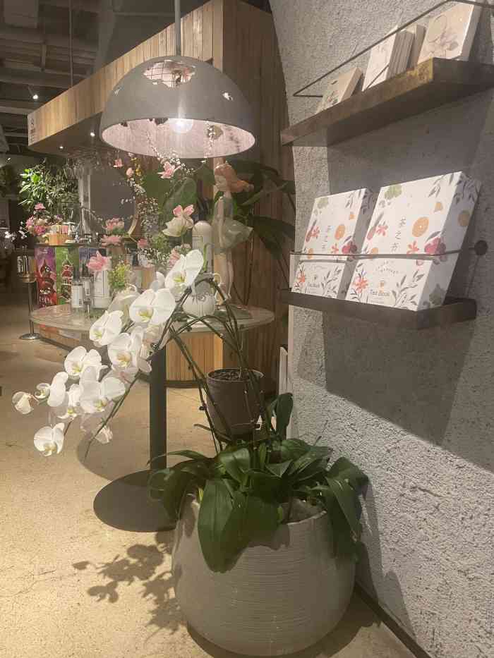 tomacado花厨王府中环店