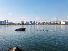 -台场海滨公园船码头