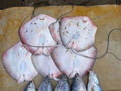 -尼甘布海鲜市场