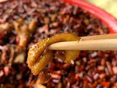 -林中乐辣子鸡(歌乐山总店)