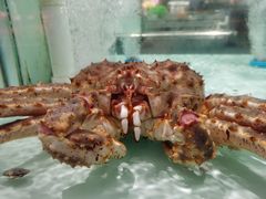 -日照海滨国家森林公园