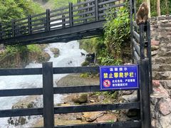 -西岭雪山大飞水景区