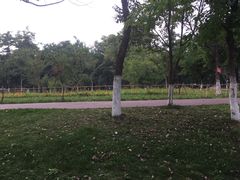 -樽宴酒楼·地道川菜·品质宴请