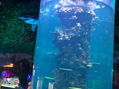 -青岛嘉年华主题乐园