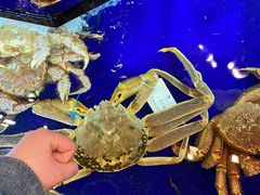 -蟹道乐(道顿堀本店)