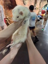 -Zoolung Zoolung动物主题公园(海信广场店)