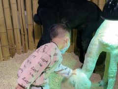 -萌宠奇缘