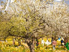 -名花谷生态庄园