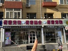 -青奢宠物·青奢猫舍