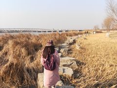 -绿堤公园