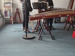 -爱乐蒙艺术·古筝 钢琴 声乐(科华校区)