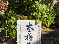 -巍山古城