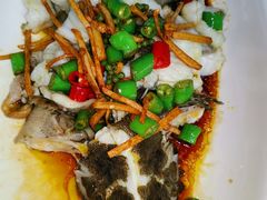 -顺德了能馆(虎门店)