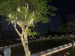 -福田红树林生态公园