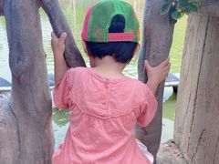 -揭东万竹园旅游景区