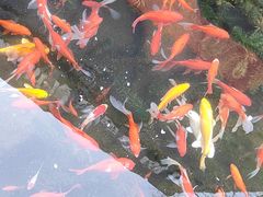 -泉乐坊步行街(烟酒特产平价超市店)