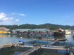 -海上驿站渔家菜馆