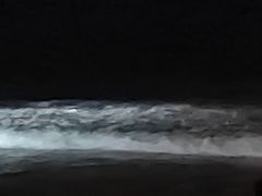 -西涌国际滨海旅游区