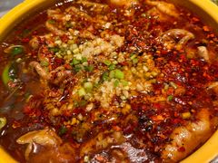 -红辣椒·川菜·火锅(张杨路店)