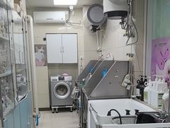 -北京观赏动物医院·24小时大型综合·猫专科·异宠专科