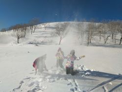 -大秃顶子山