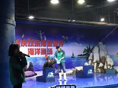 -重庆欢乐海底世界