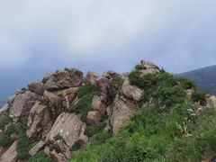 -芦芽山旅游度假区