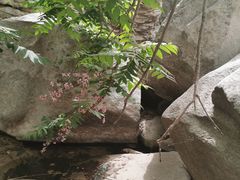 -黑龙潭风景区